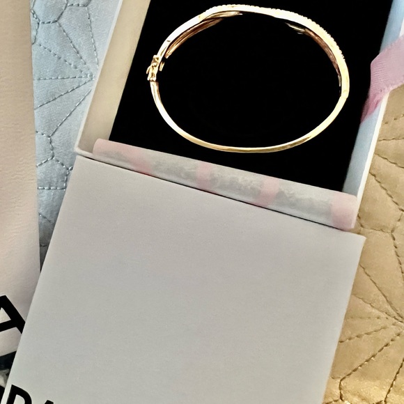 Brandnew Pandora Bag, Boxe and dust bag - Picture 5 of 5